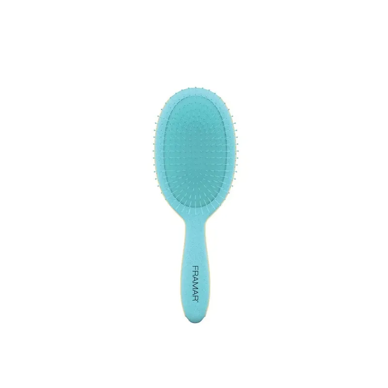 Osta Tänään Framar Detangle Brush Baecation Aqua Suomi Toimitus